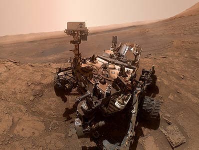 Tardigrades – A glimpse into the future